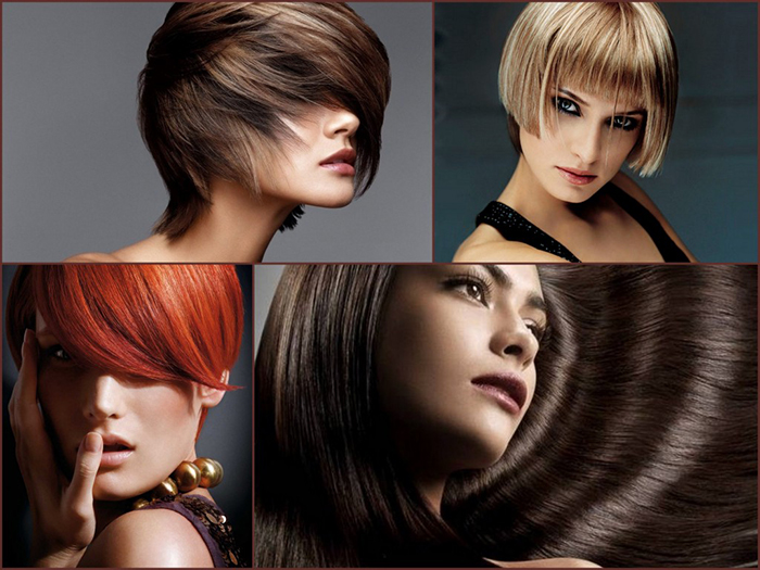 A collection of finished cuts and color styled at Trang Beauty Salon